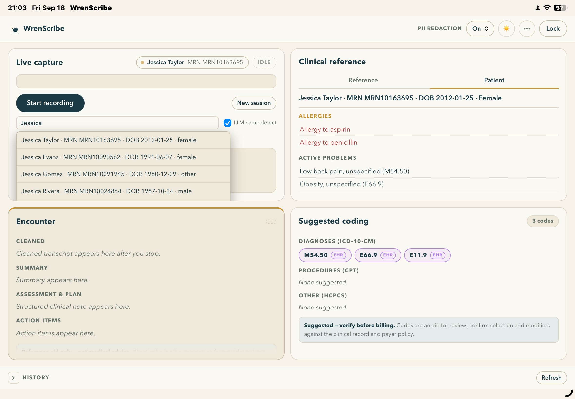 WrenScribe on iPad, patient chart and suggested codes